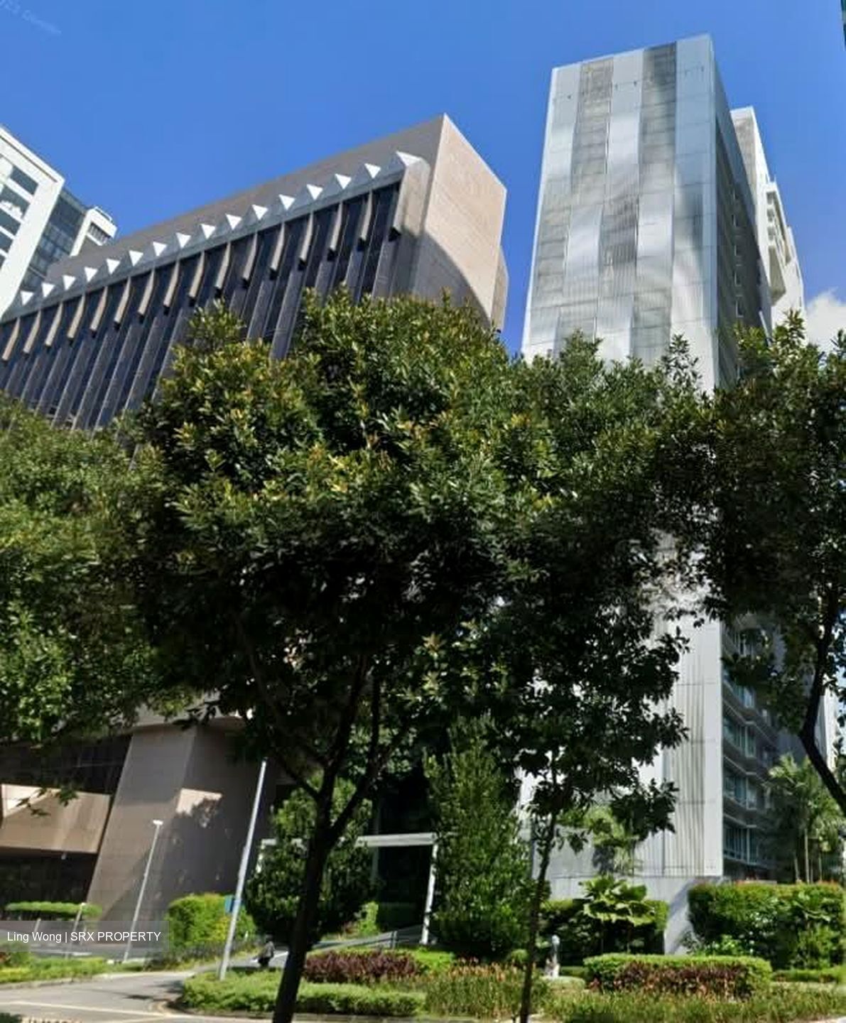 Scotts Highpark (D9), Condominium #548217591